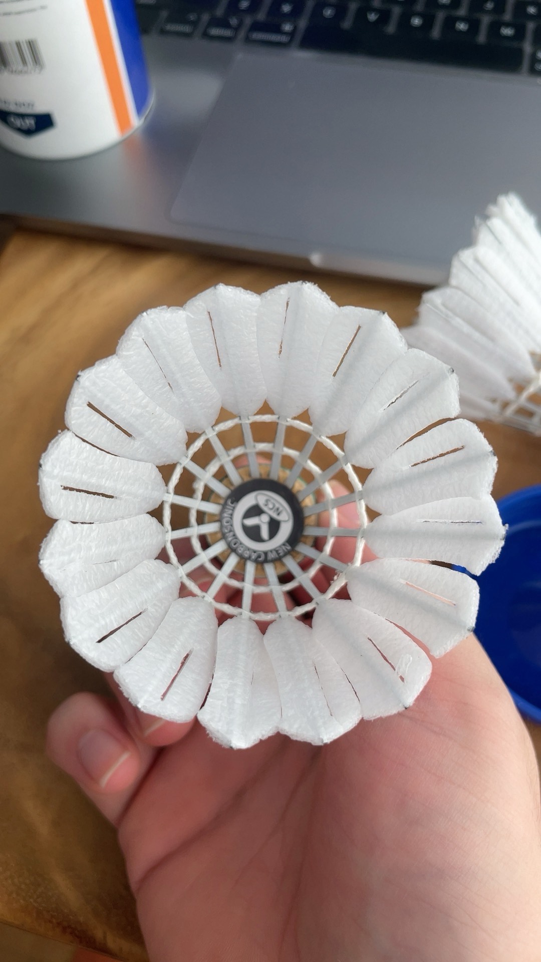 球的发展逐 球的发展逐